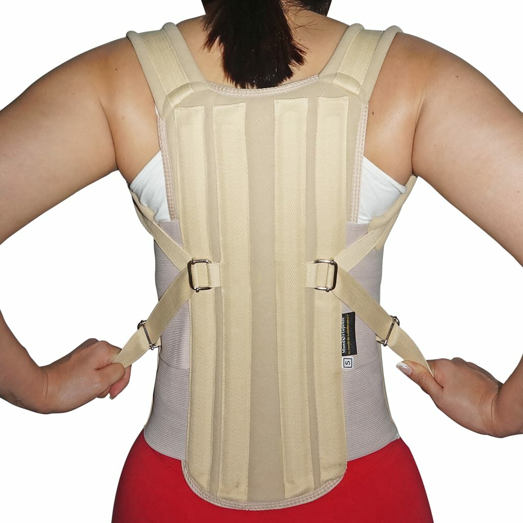 Soporte dorso lumbar